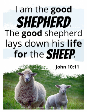 The Good Shepherd Bible Lesson – Kids Enjoying Jesus